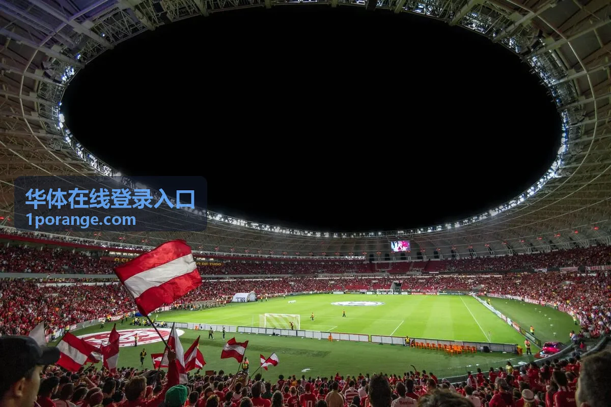 电脑端管理华体在线登录入口账号信息示意