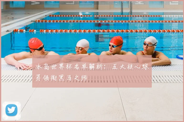 冰岛世界杯名单解析：五大核心球员领衔黑马之师