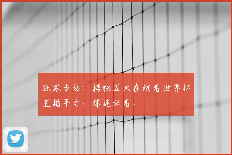 独家专访：揭秘五大在线看世界杯直播平台，球迷必看！