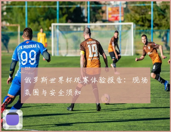 俄罗斯世界杯观赛体验报告:现场氛围与安全须知